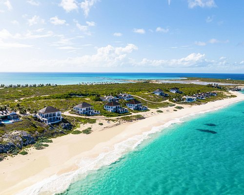 A serene beach with clear water and palm trees in the Caribbean.